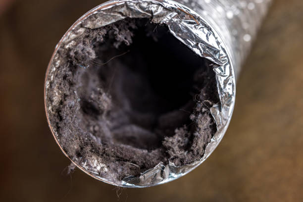 Best Local Air Duct Cleaning Services  in Marienville, PA